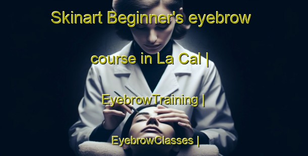 Skinart Beginner's eyebrow course in La Cal | EyebrowTraining | EyebrowClasses | SkinartTraining-Mexico